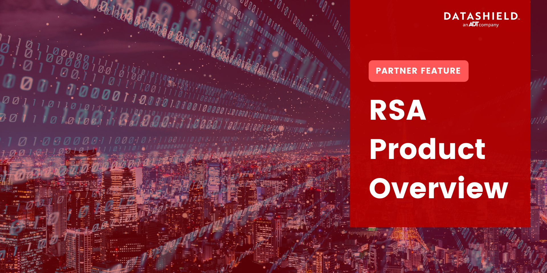 rsa overview